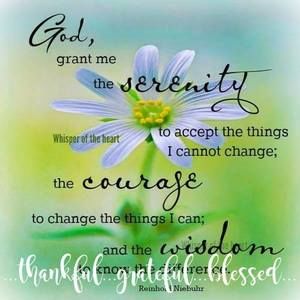 Meet your Posher, Tracey